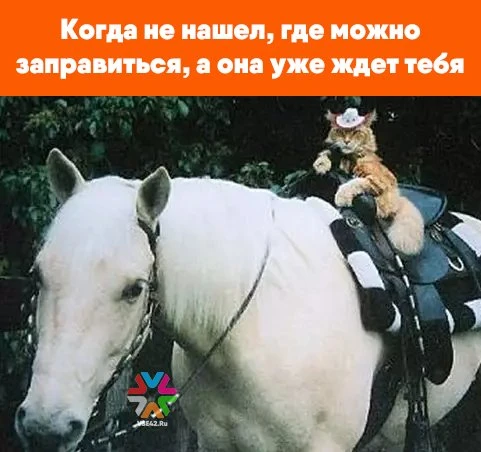 Где нет бензина в Кемерове 29 июля – список АЗС

В среду, 29 июля, в областном центре Кузбасса отсут