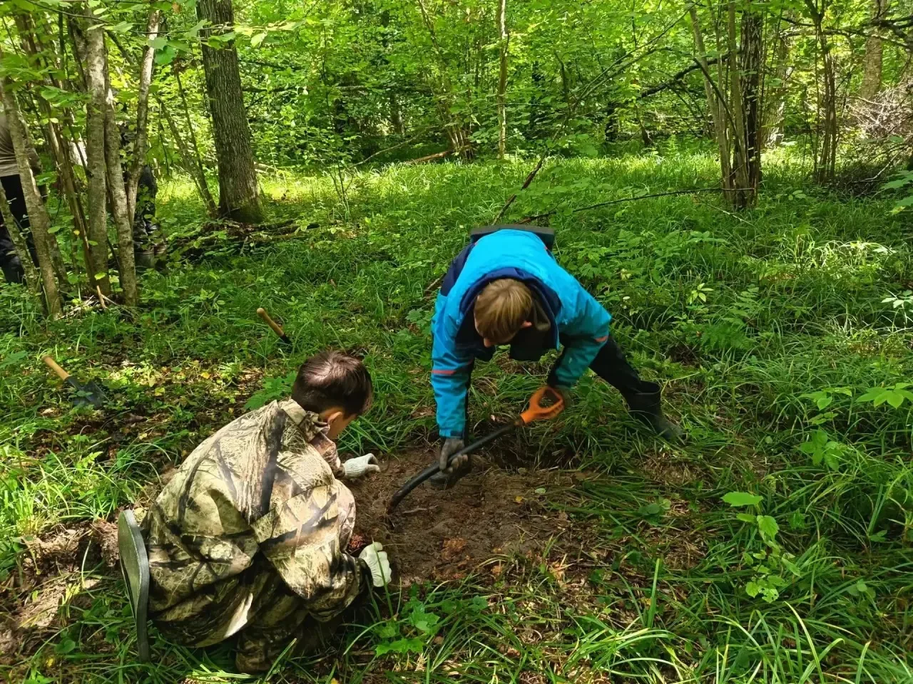 Находки, которые ждут наш музей! ⛺🏛️