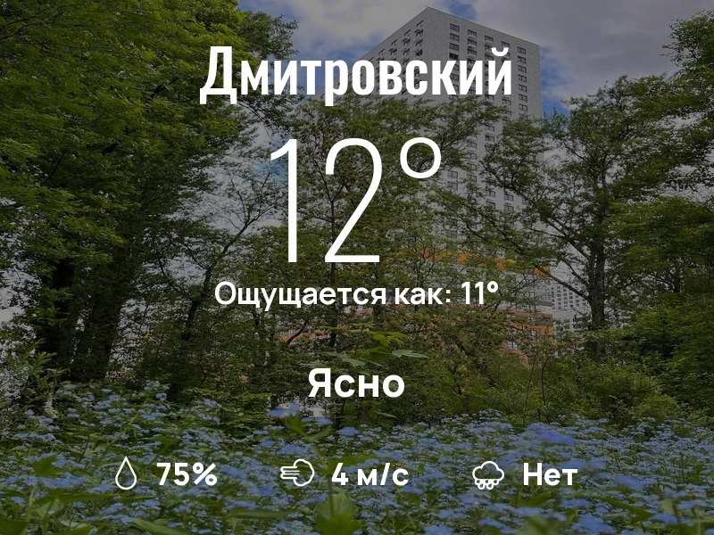 Что с погодой в Дмитровском?