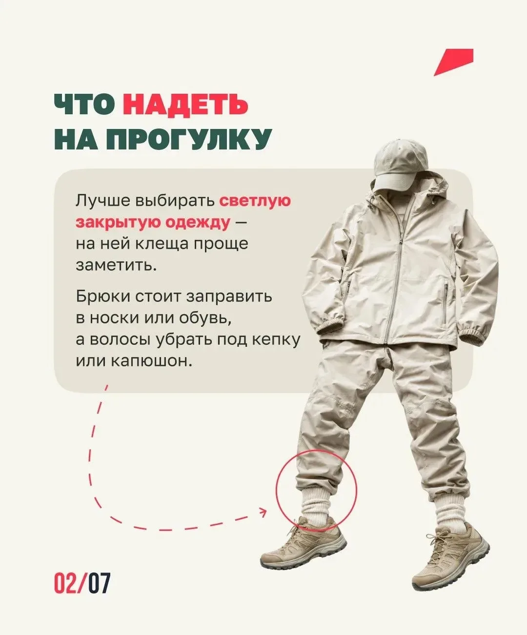 Клещи ближе, чем ты думаешь🕷️  Они обитают не только в лесу, но и на дачах, в парках и вдоль тропино