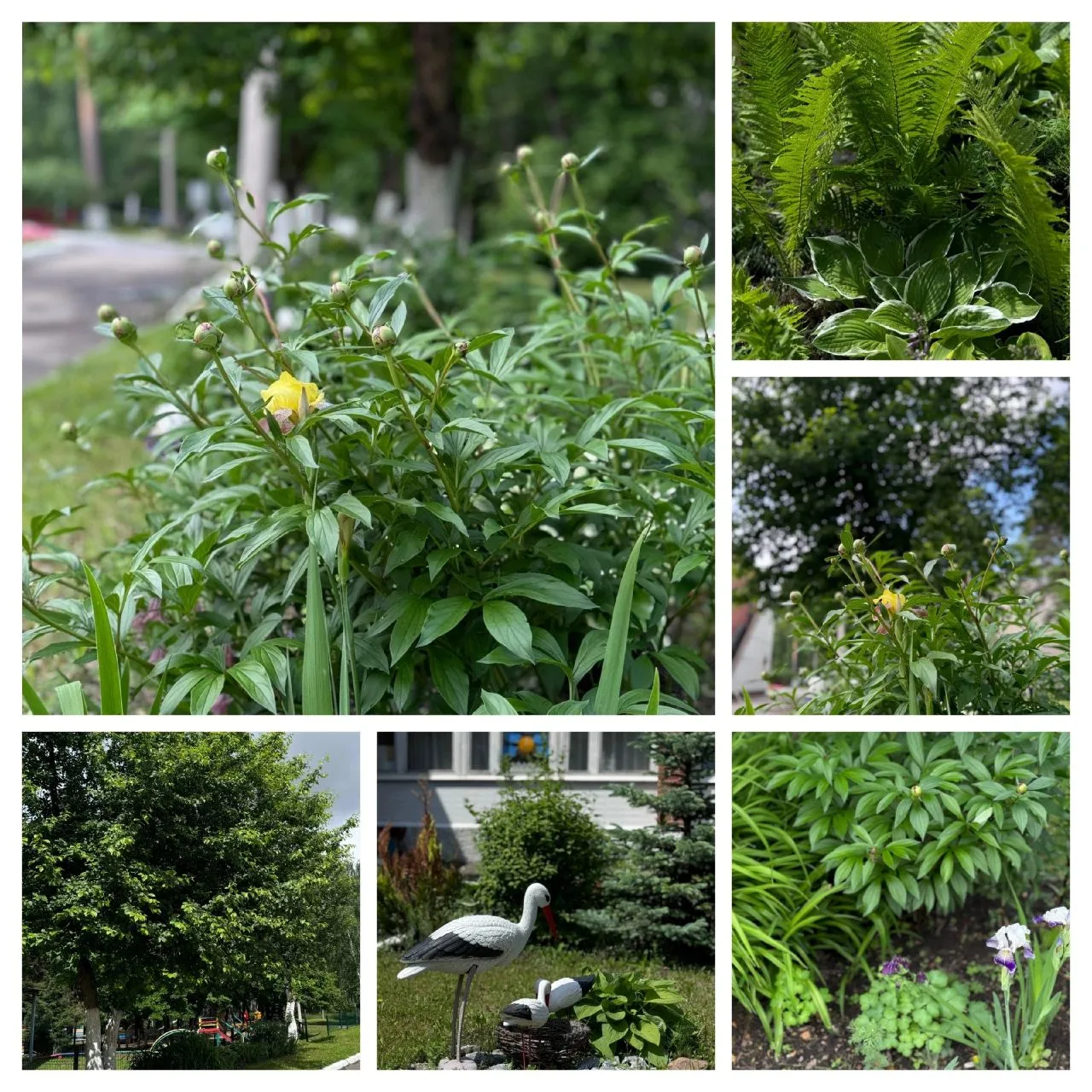 🌼 Лето в МБДОУ № 25 — это маленькая сказка для дошколят! 🌼