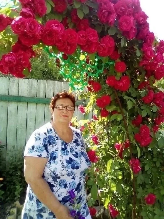 🌹Хозяйка вырастила вот такую прекрасную розу у себя на даче. Оцените красоту?