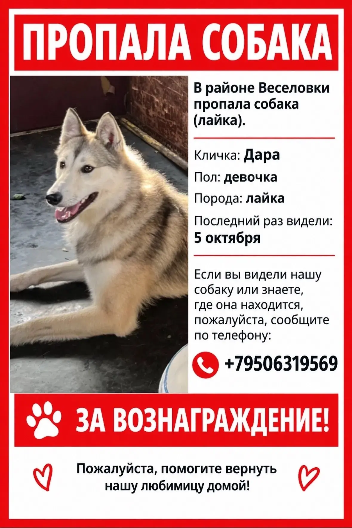 Нам пишут. Поделитесь вашей новостью или вопросом, который касается жизни города. Присы...