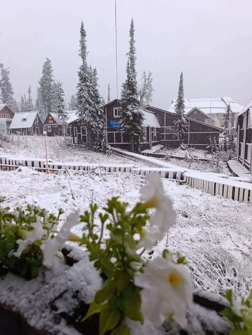 У соседей в Красноярском крае снег ❄️👀