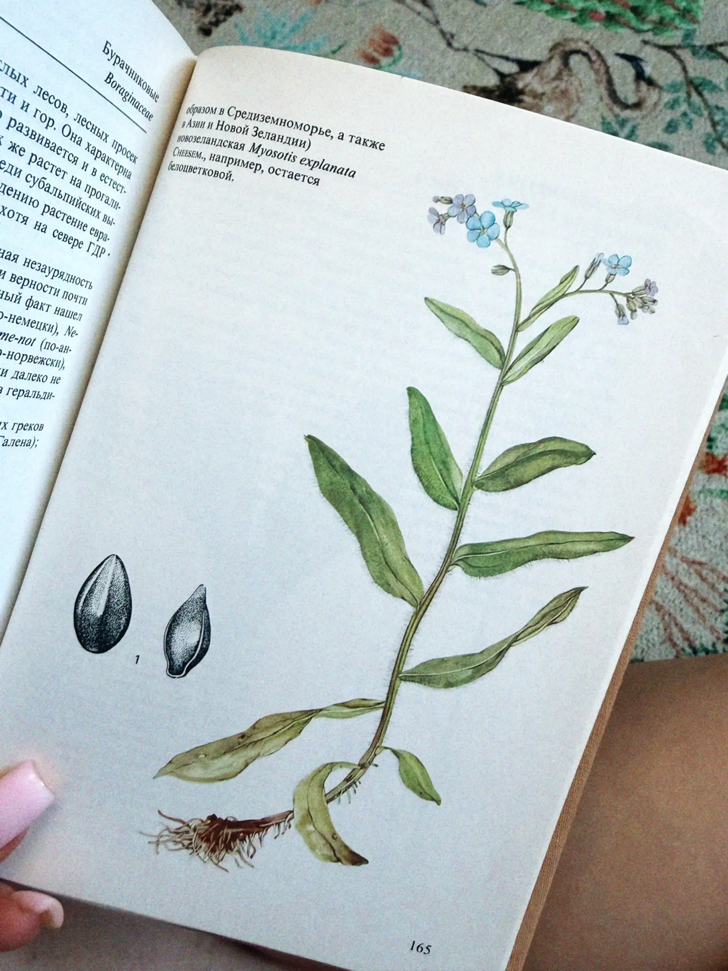 📚 Что читают бьюти блогеры по выходным?   Ладно, за других не скажу, но чаще всего, все, что угодно,