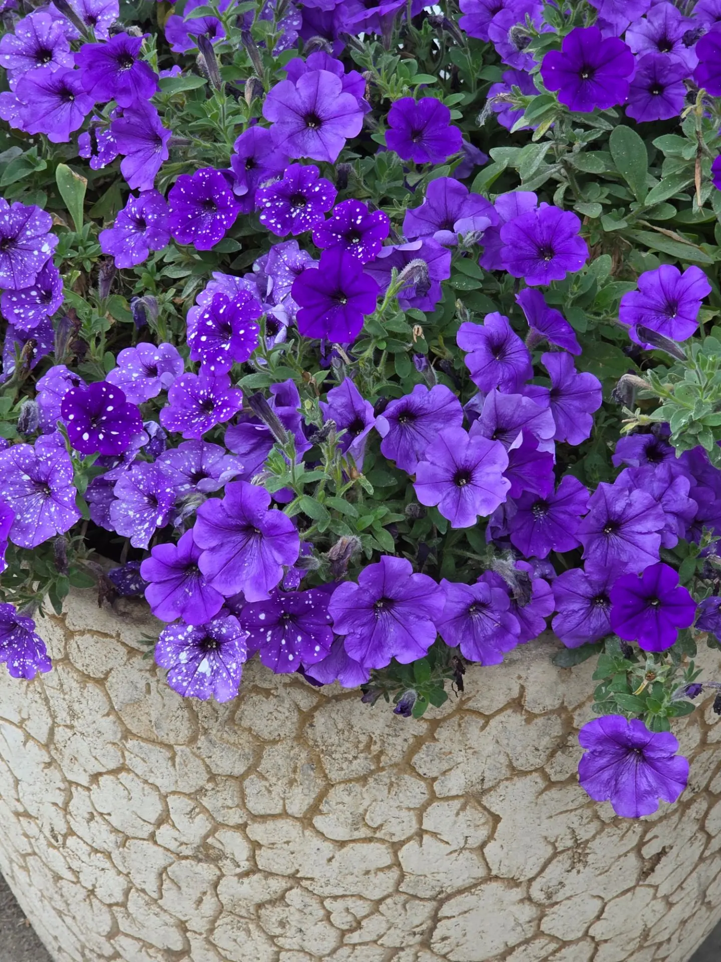 Все получится 💗я в тебя верю 😘 умняша моя ❤️
