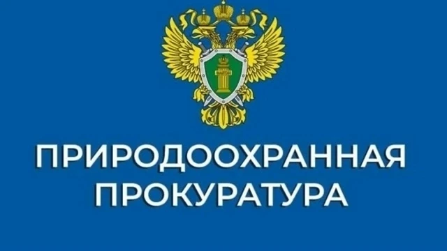 Природоохранная прокуратура СПб напоминает гражданам о порядке обращения с твёрдыми ком...