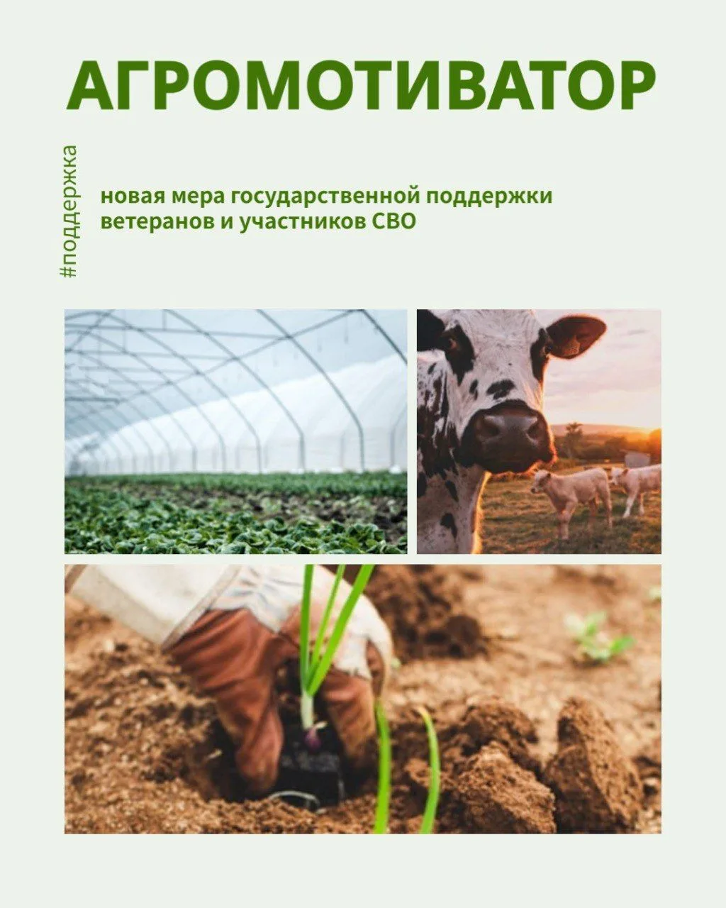 ЧТО ТАКОЕ ГРАНТ «АГРОМОТИВАТОР» ДЛЯ УЧАСТНИКОВ И ВЕТЕРАНОВ СПЕЦИАЛЬНОЙ ВОЕННОЙ ОПЕРАЦИИ