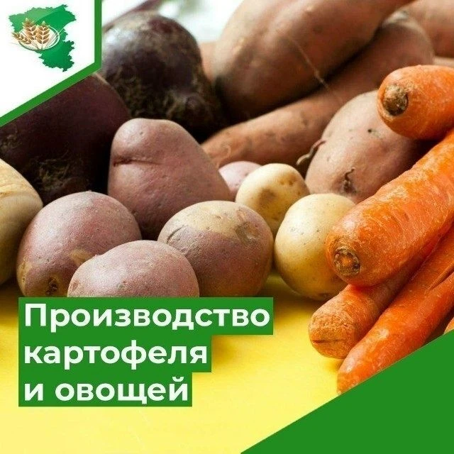 Объявляется отбор на предоставление субсидии на стимулирование увеличения производства ...