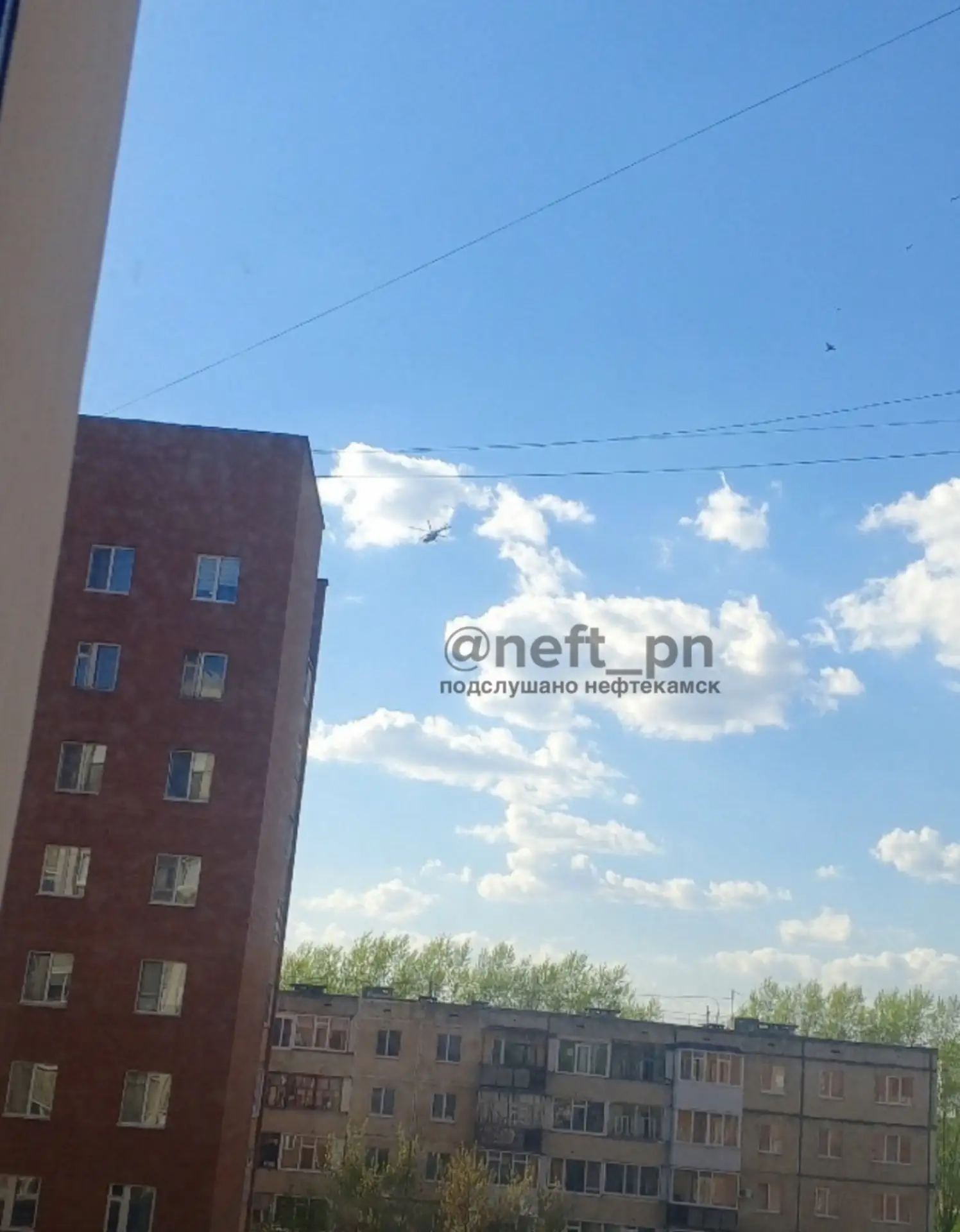 Сегодня над парковой пролетали вертолёты, испугался