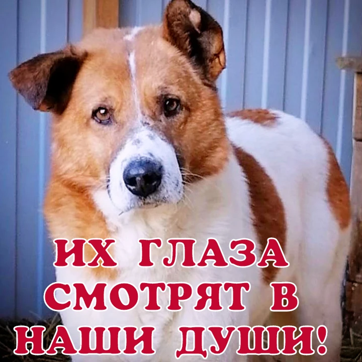 ДОРОГИЕ ДРУЗЬЯ❤️‼️‼️‼️