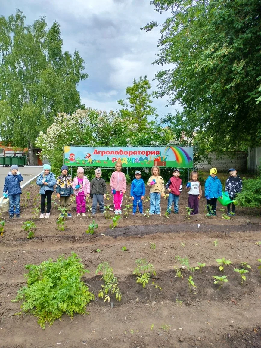 В детском саду продолжается работа над проектом «Юный агроном».