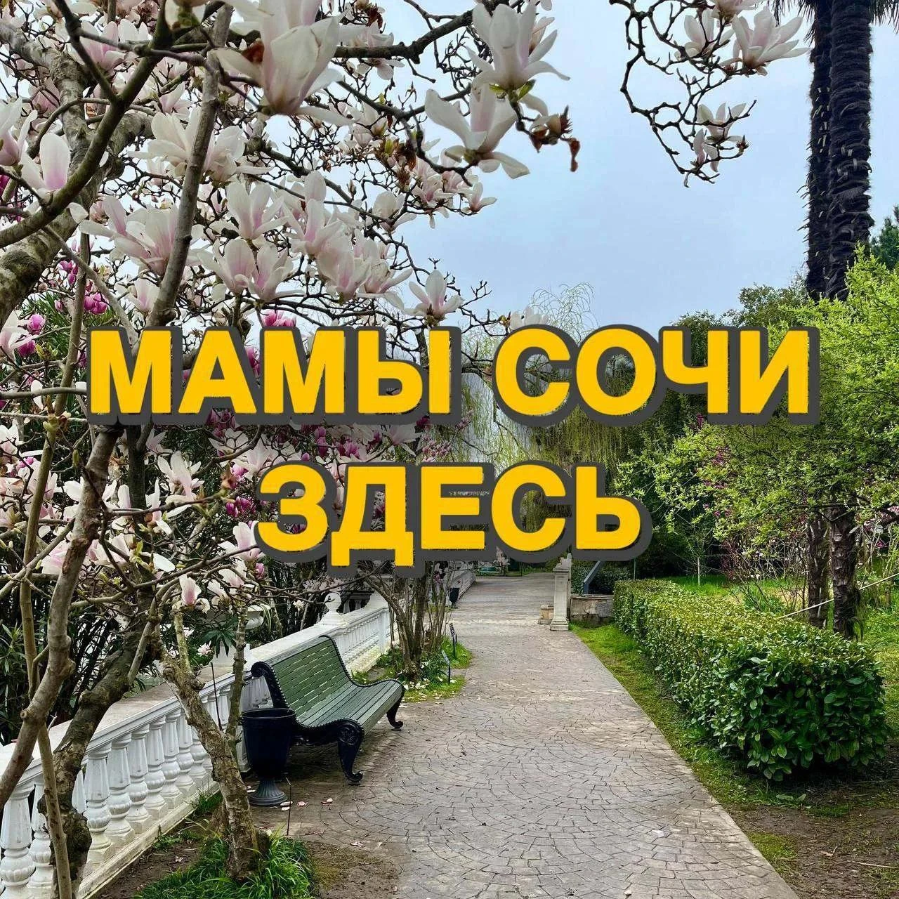 Канал, который объединяет всех мам Сочи теперь в Мax 😍