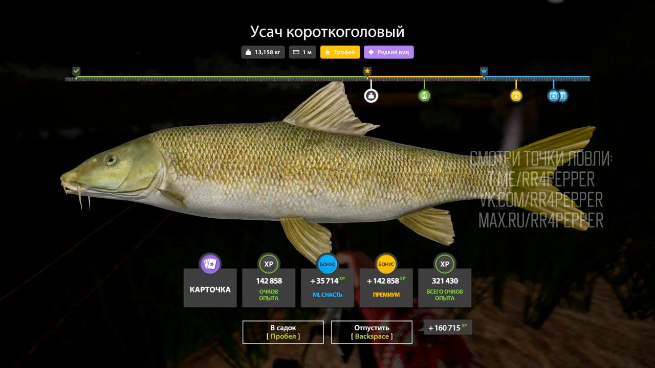 #ахтуба@rr4pepper
