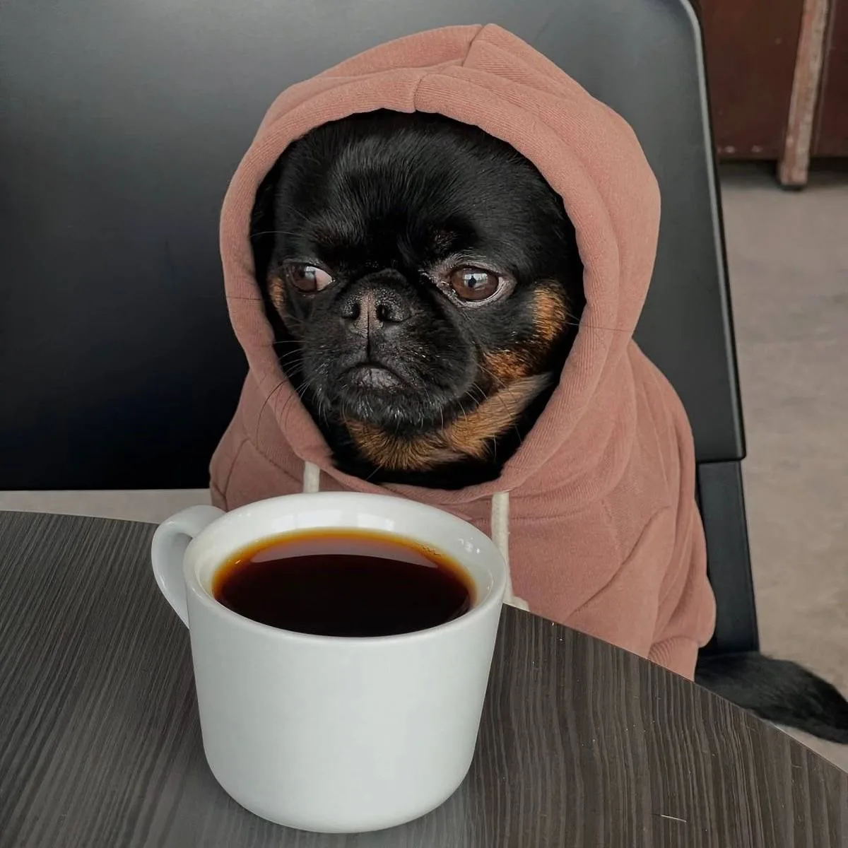 ☕️ Сегодня — Международный день кофе