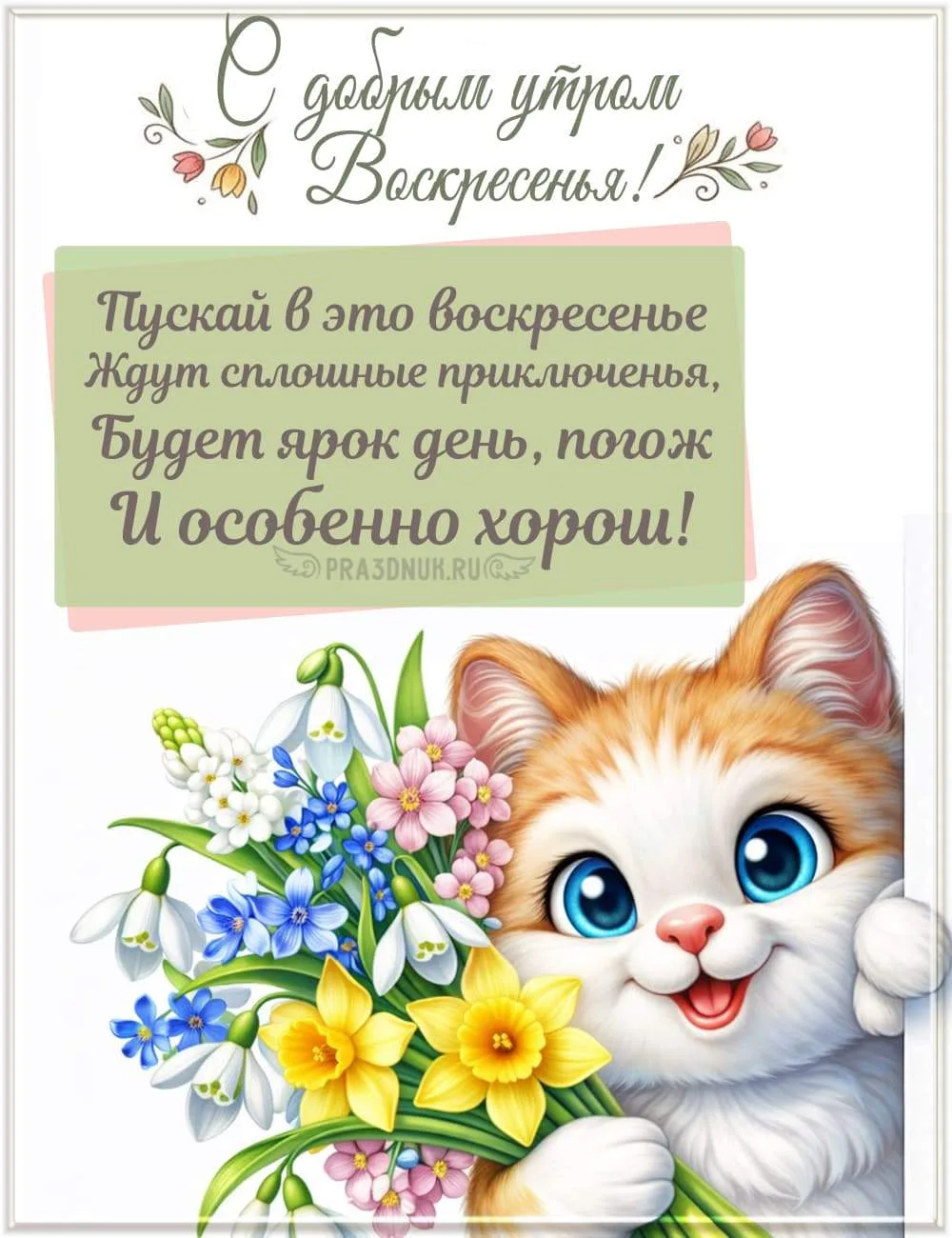 Прекрасного доброго утра Воскресенья
Удачи и радости в новом дне🫶🫶