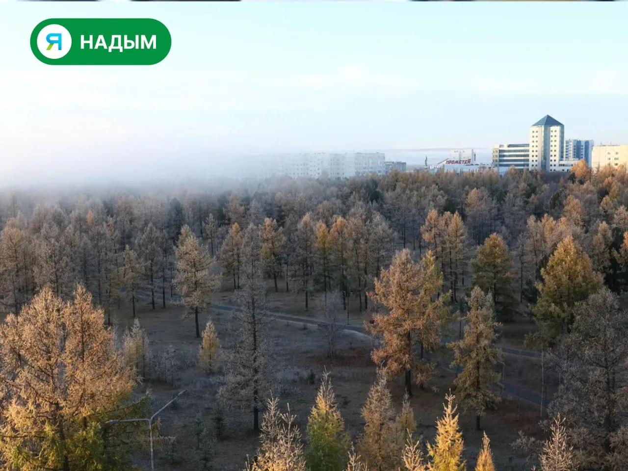 😶‍🌫❄ Морозное и туманное утро в Надыме
