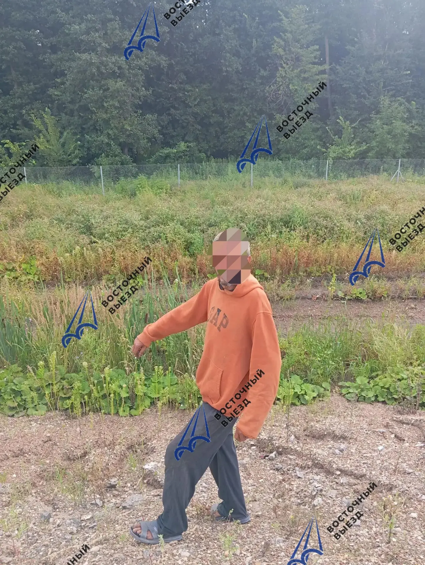 В период времени с 08:00 28.07.2026 до 08:00 29.07.2026 на автодороге "Восточный выезд" зарегистриро