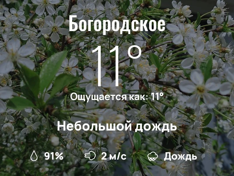 Что с погодой в Богородском?