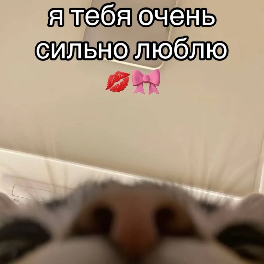 *ты знаешь, кому переслать <З