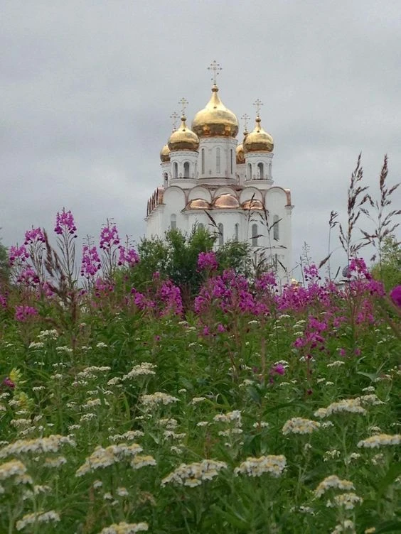 ️В книге совести записываются все наши дела, слова и помышления, и эта книга послужит нам в оправдан