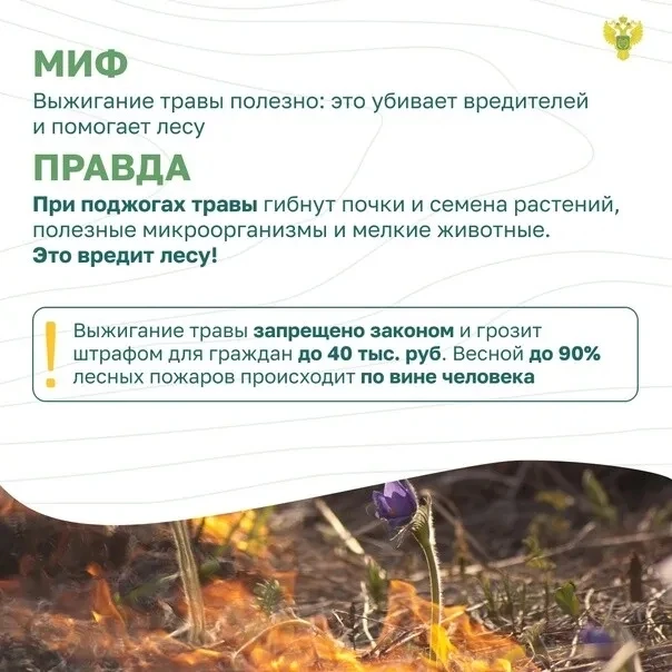 #Тальскоетерриториальноеуправление