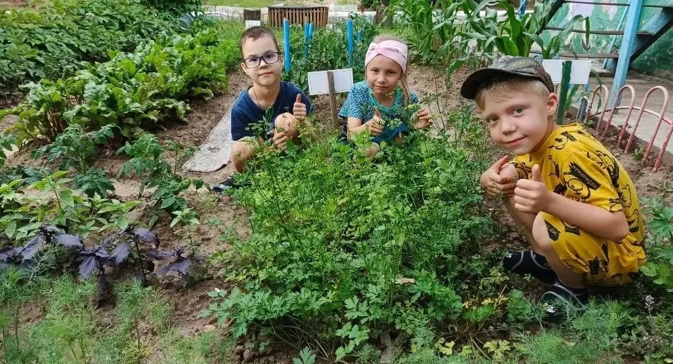 🌱 Маленькие огородники — большие дела!

Наши воспитанники детского сада решили стать настоящими сад