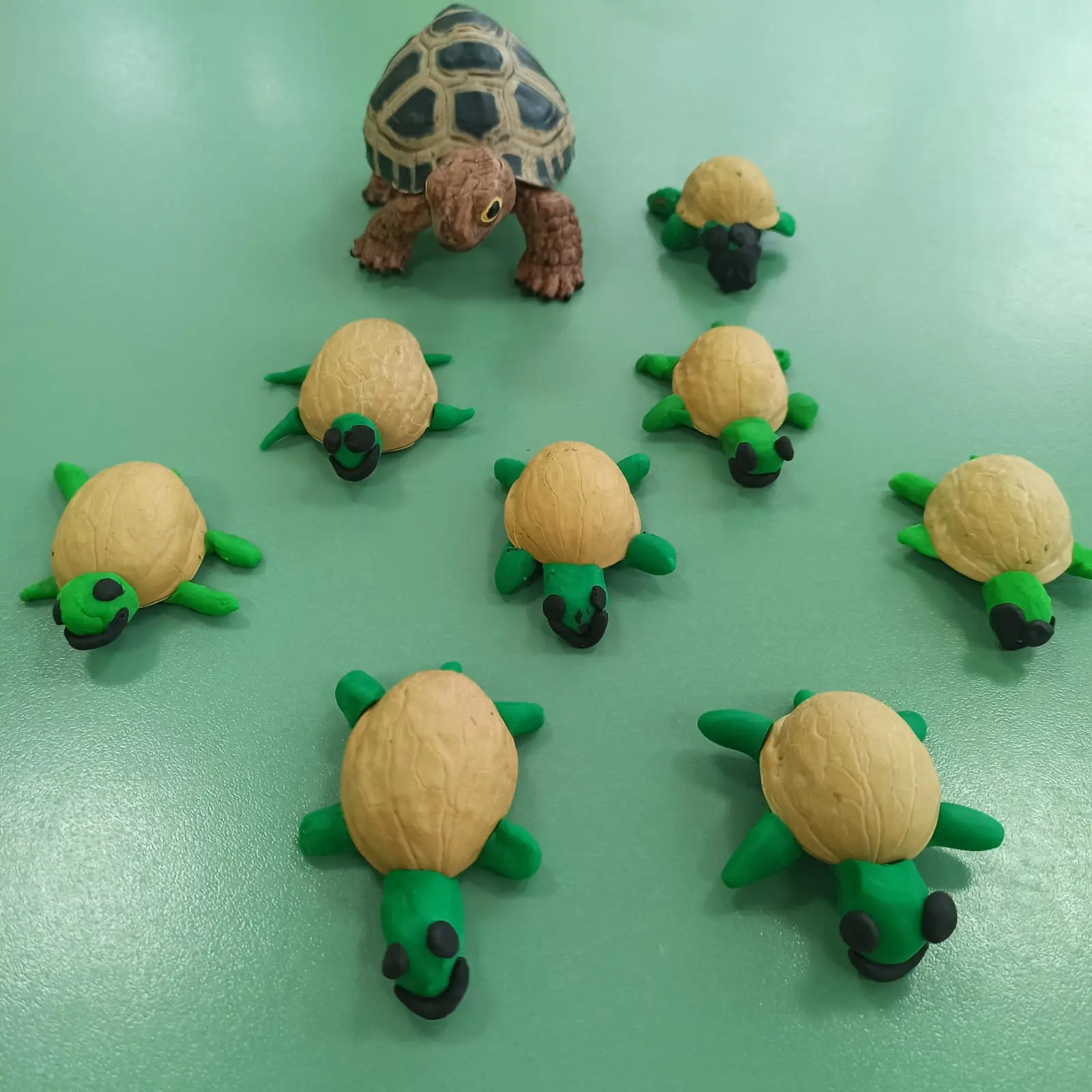 🐢 Что за чудо- это черепаха.