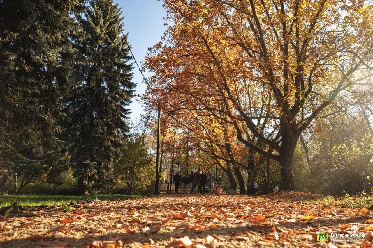 🌳 Дорожки в дендропарке на Первомайской готовы на 80%