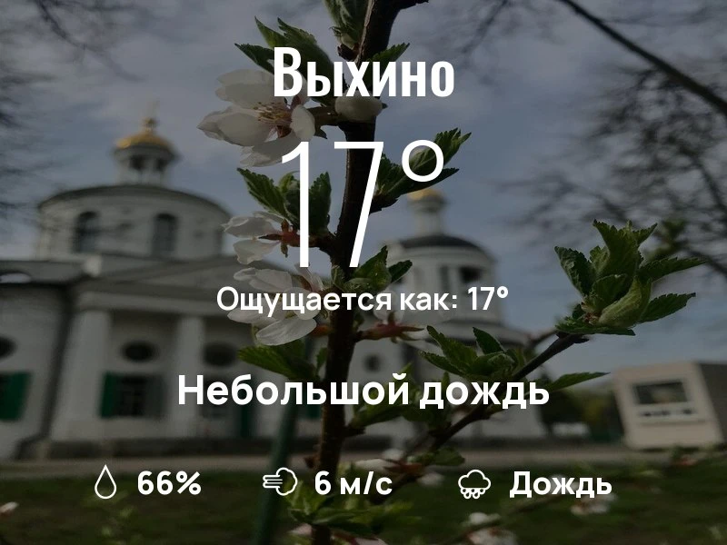 Что с погодой в Выхино?