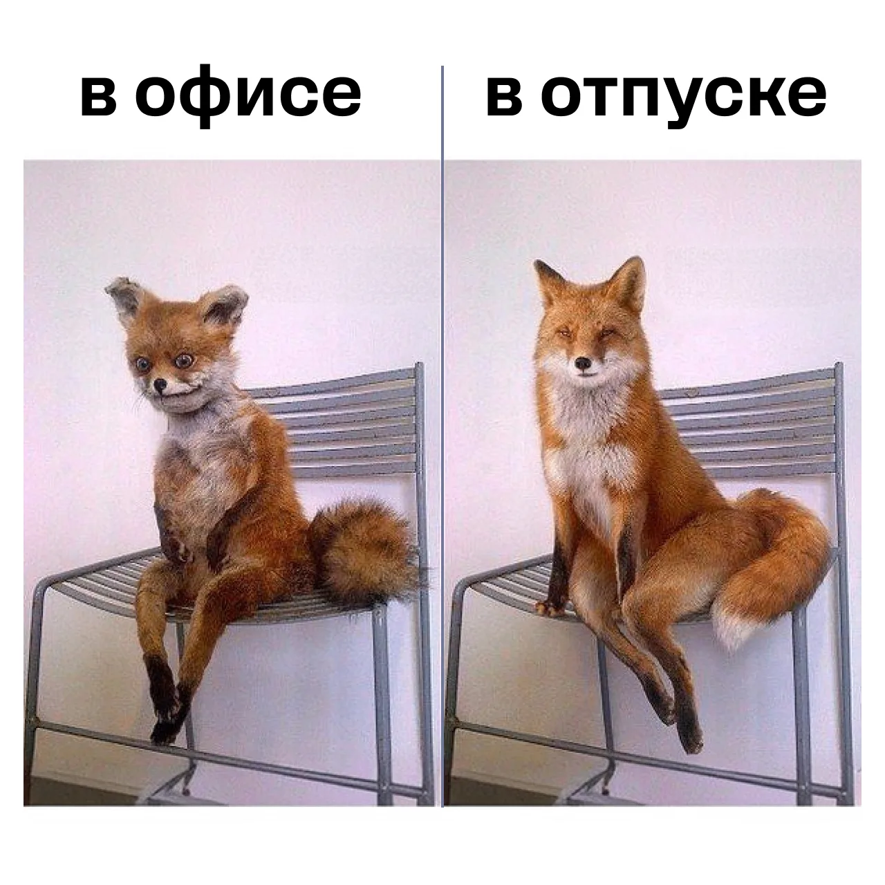 Говорят, ожидание отпуска — отдельный вид удовольствия. Кажется, мы нашли способ поймать это ощущени