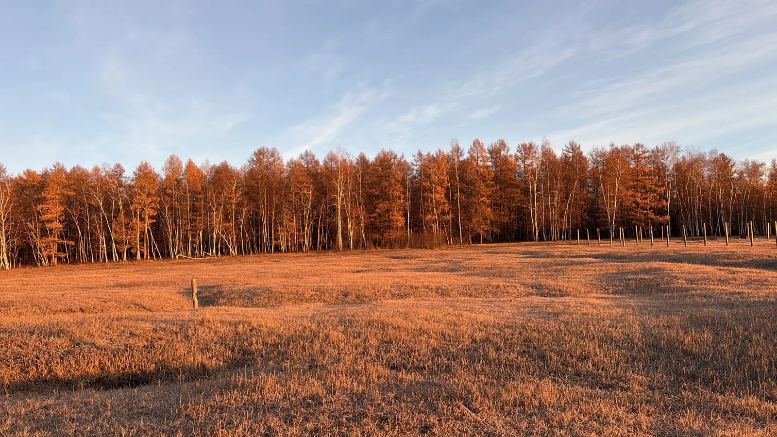 😍Морозный воздух, минус восемь на дворе,