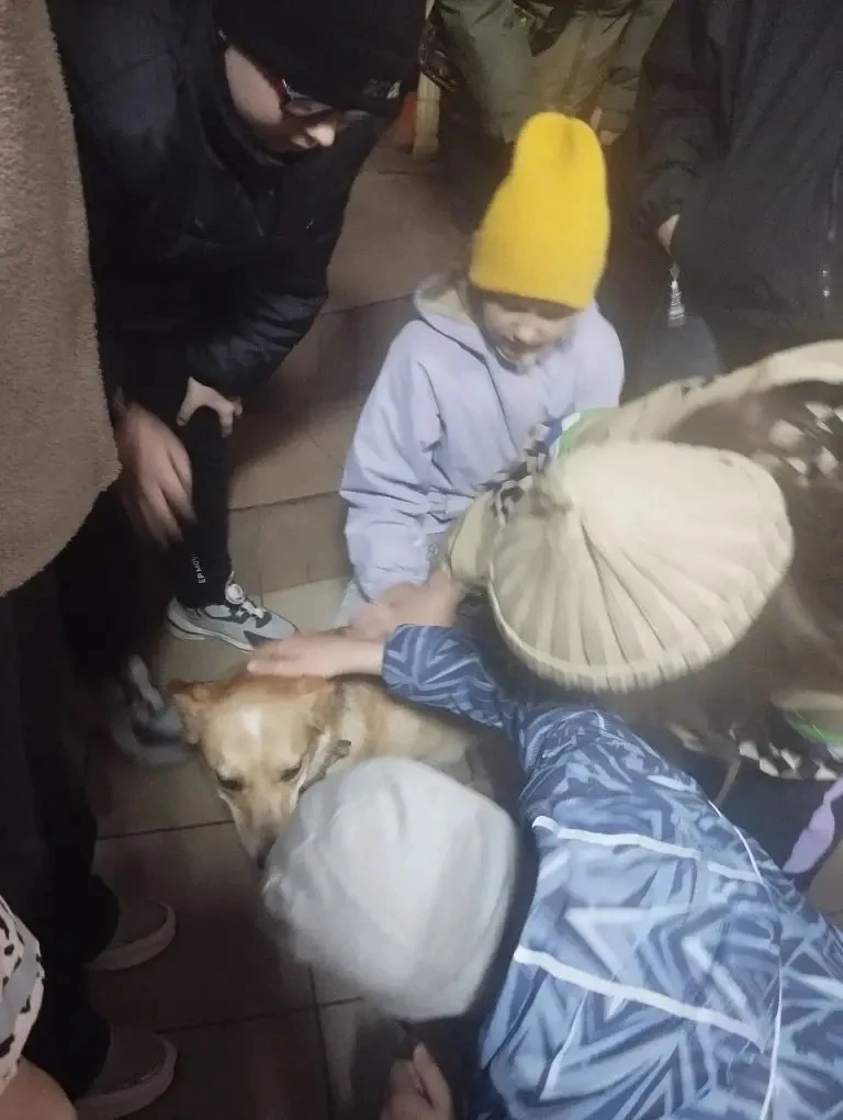 Сегодня ученики 3 ,,В" класса посетили  🦮🐩🐕 приют    ,,Четвероногий ангел". Ребята с родителями прин