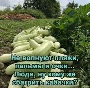 😂 #юмор