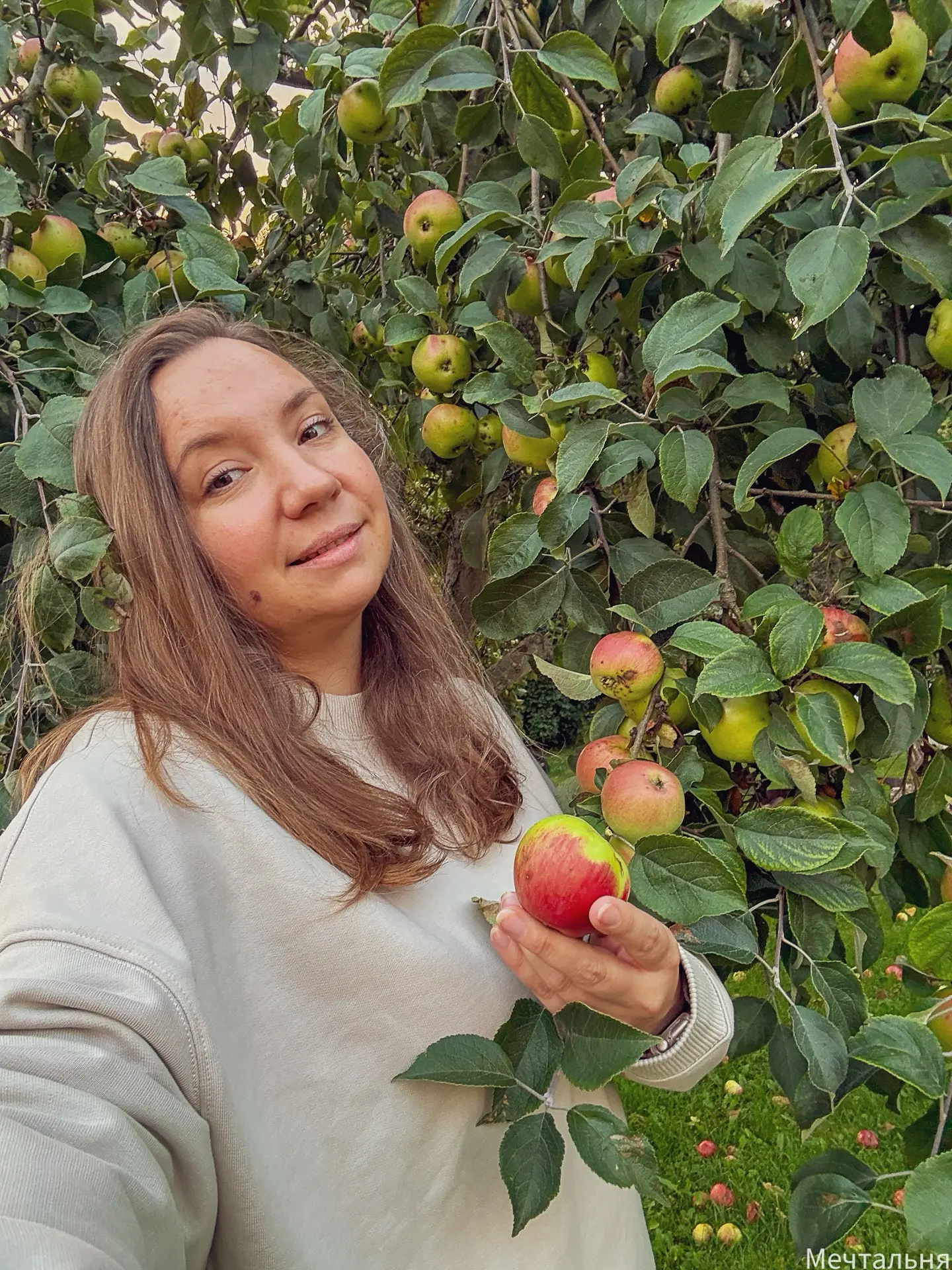 Мне всегда было интересно, почему фото в цветущих деревьях так много, а в яблоках или в...