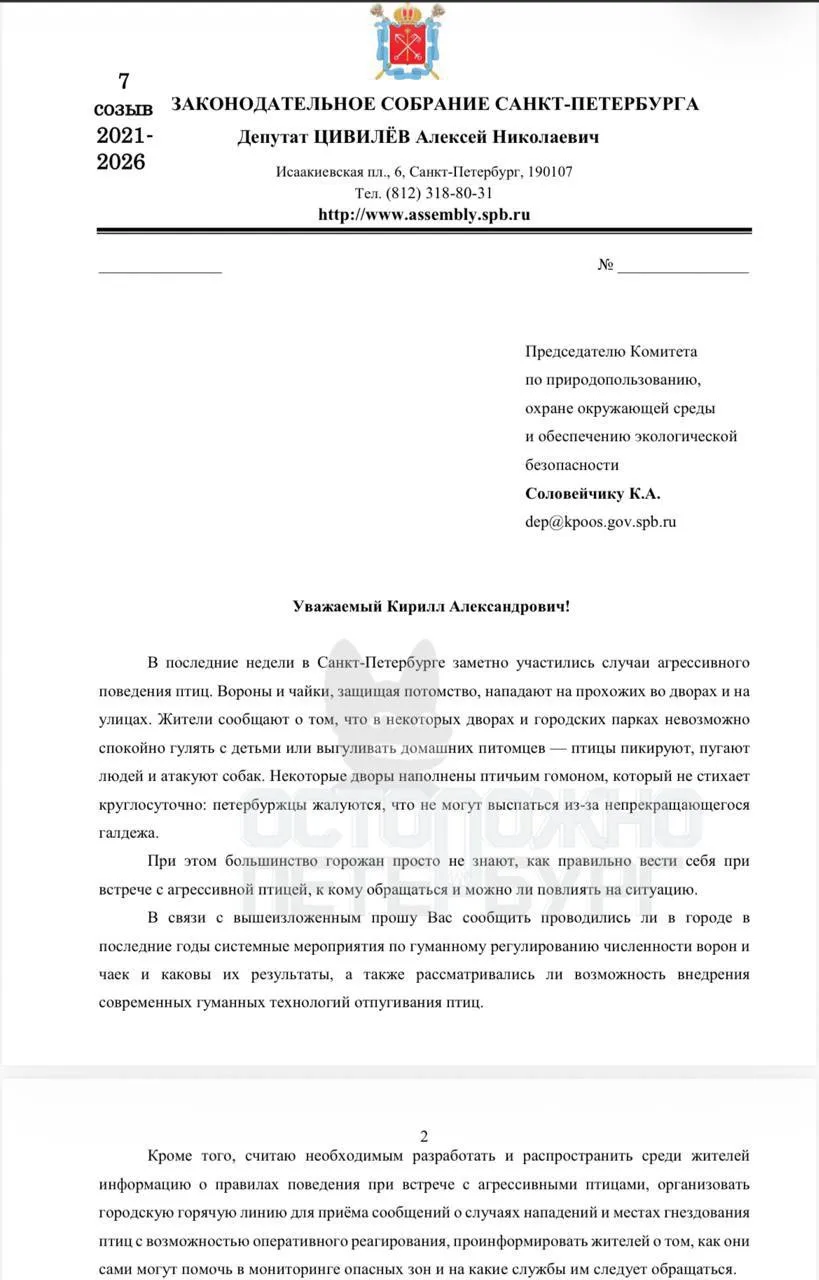 ☎️ В Петербурге хотят открыть горячую линию для жалоб на нападения агрессивных птиц