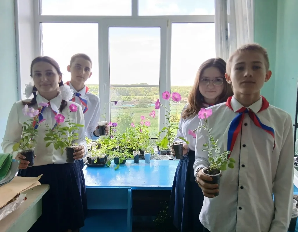 Участники агрокласса МКОУ "Котовская ООШ" вырастили петунию 🌸 и высадили на пришкольно...