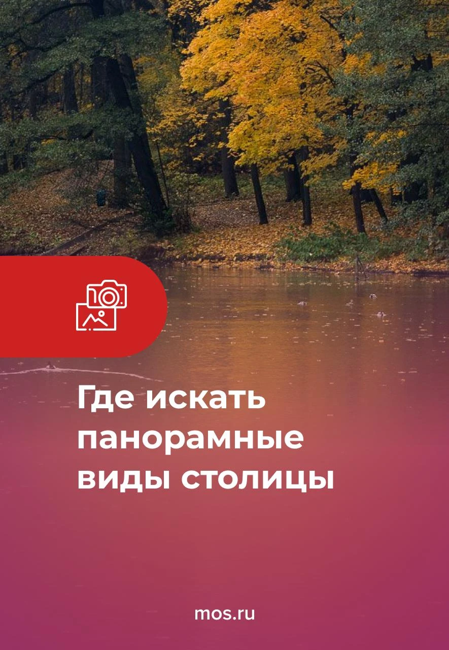 😍 Москва как на ладони. Увидеть панорамные виды столицы можно в столичных парках. Напр...