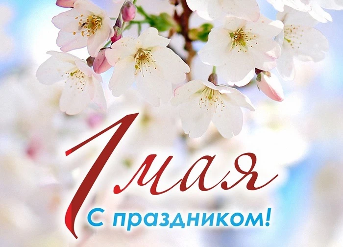 Дорогие друзья и коллеги!