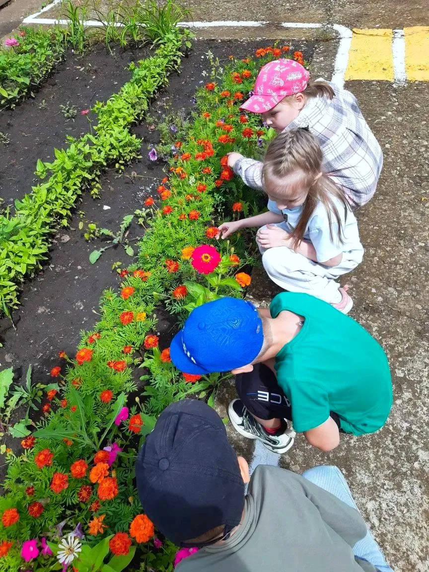 Ознакомление детей с природой
🌷 🌹 🌸 🐛 🐞 🪲 
Цель: продолжать знакомить детей с миром растений. 