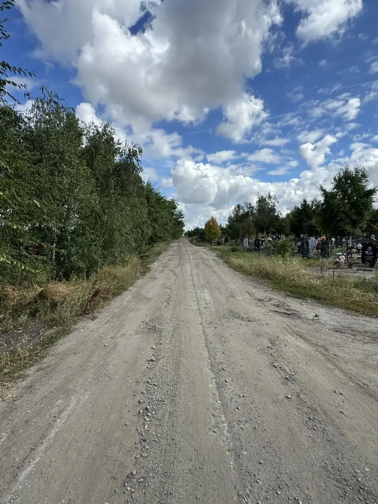 В Борисоглебске  проводятся  работы по благоустройству городского кладбища. Организован...
