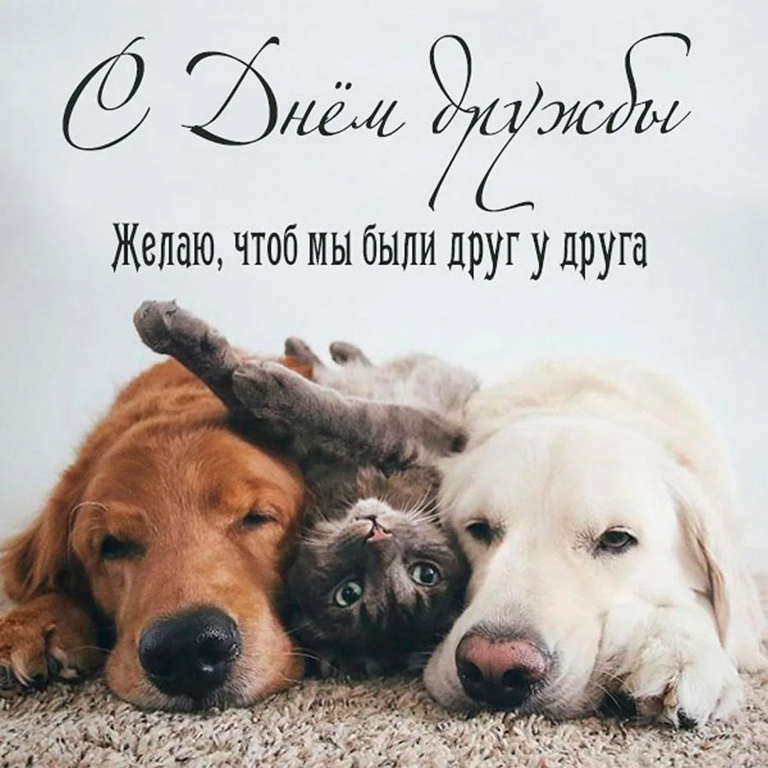 Со Всемирным днём дружбы! 💞

Открытки в MAX ️💌Подписаться