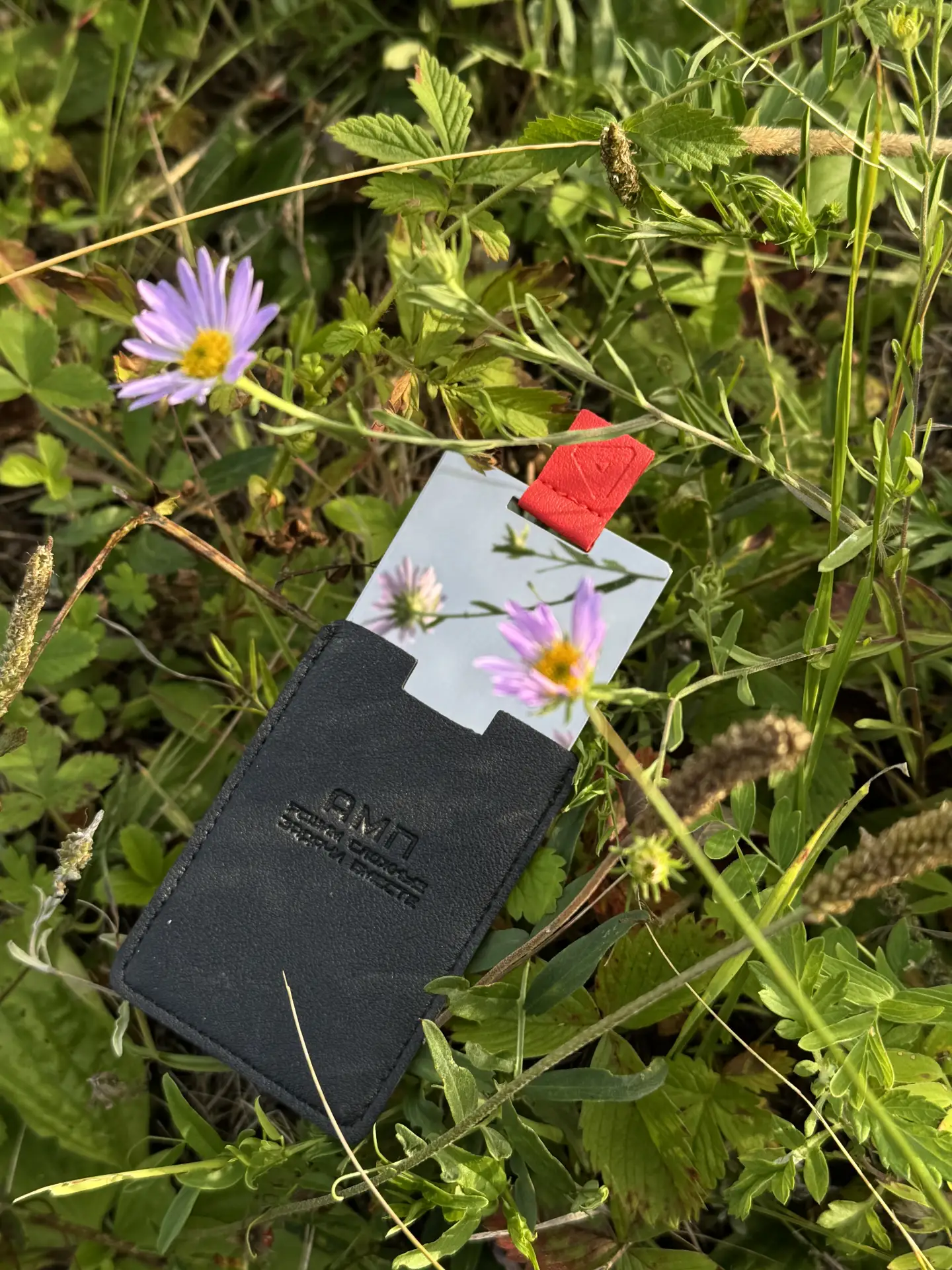 Пятница - время переключаться на дачный режим 🌿