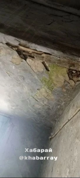 "Дом на подпорках" заливает дождём

Жители аварийного горевшего дома на Гончарова, 19 в Советской Га