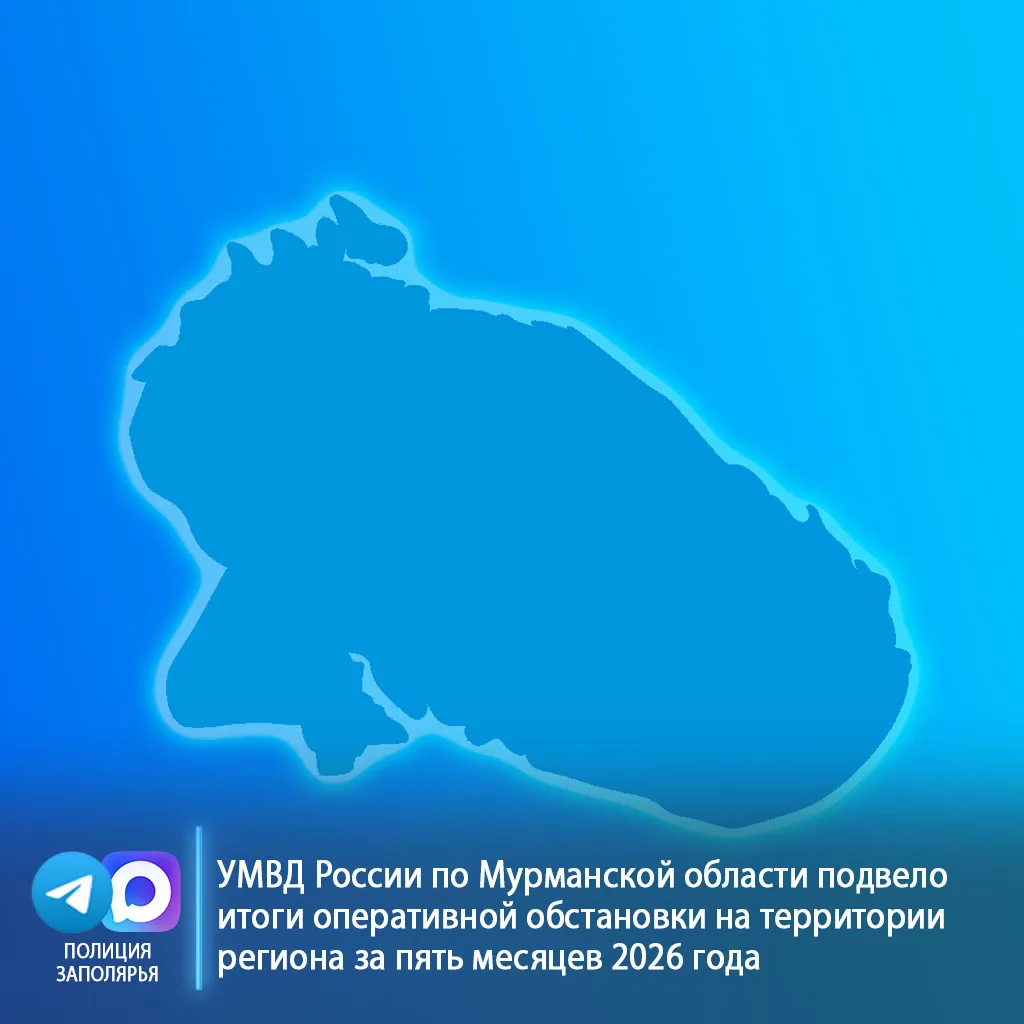 📊 УМВД России по Мурманской области подвело итоги оперативной обстановки на территории региона за п