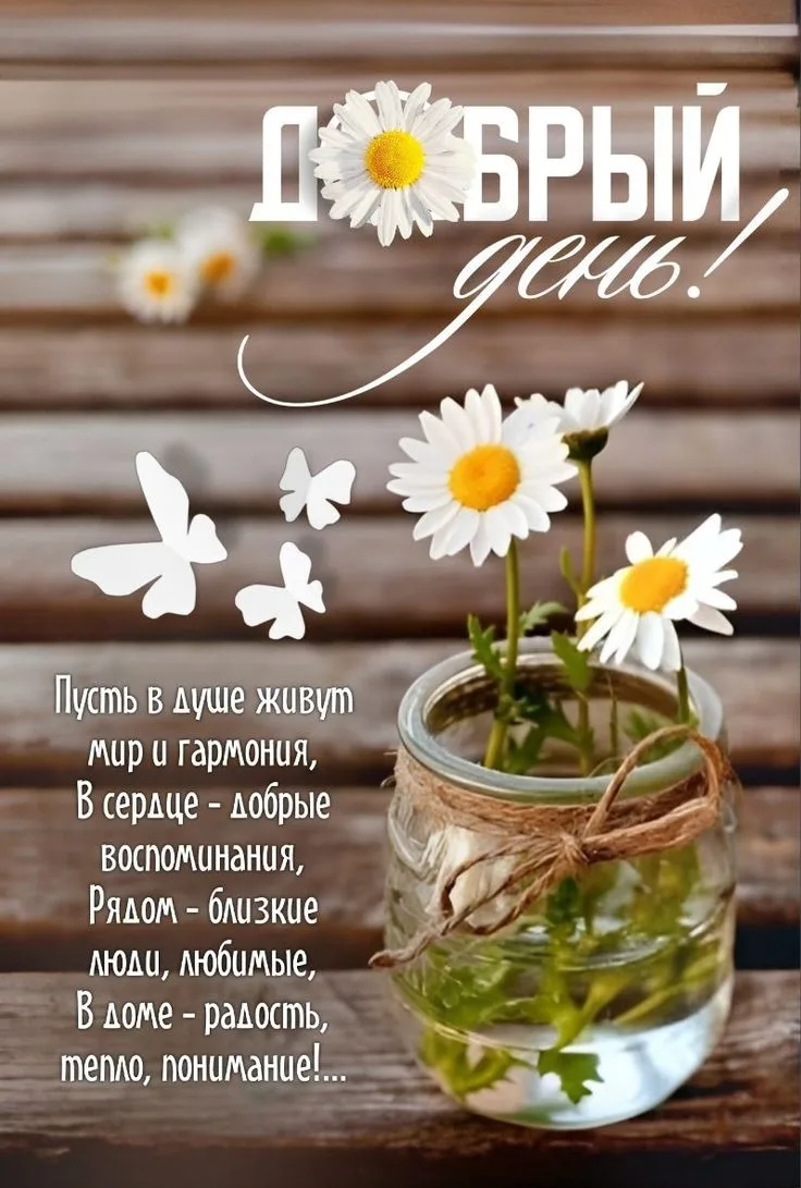 Лови💙хорошее настроение