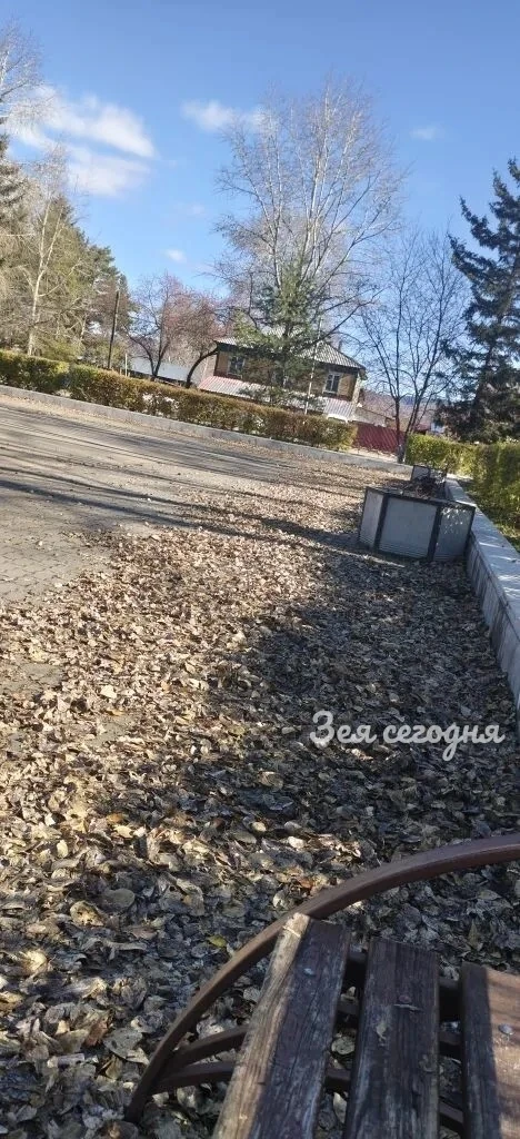 Площадь коммунаров ждёт дворников 🙏