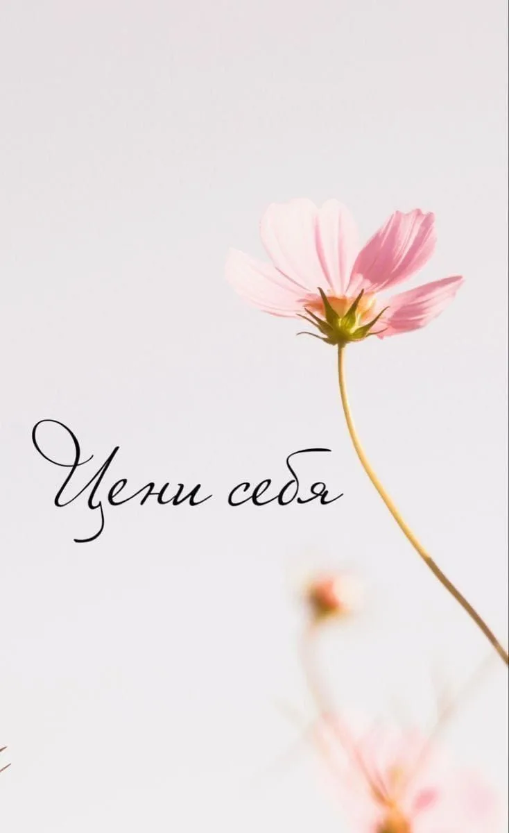 И приходи завтра на: