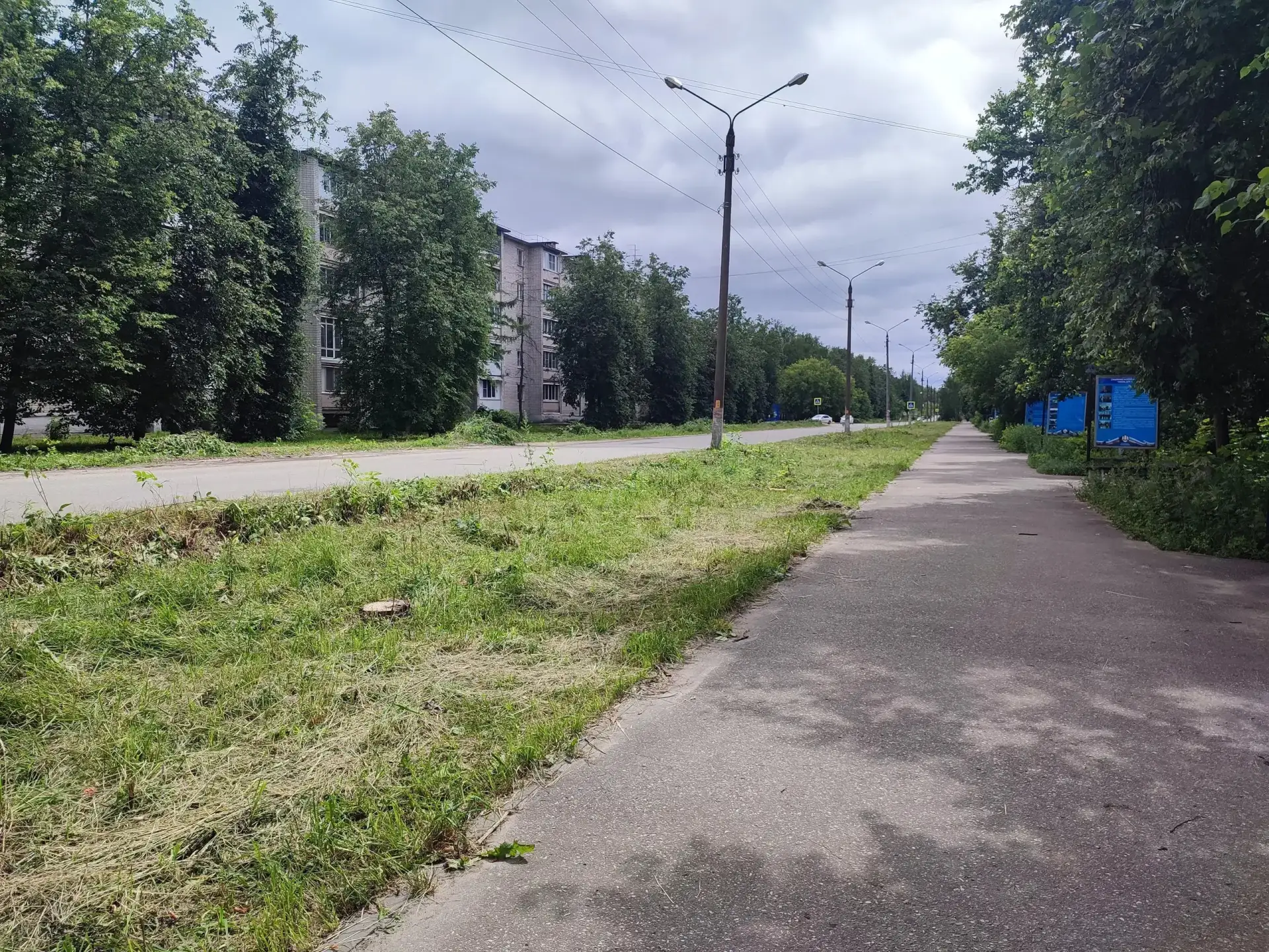 Кто-нибудь знает зачем спилили деревья на улице Сухаренко между дорогой и тротуаром со ...