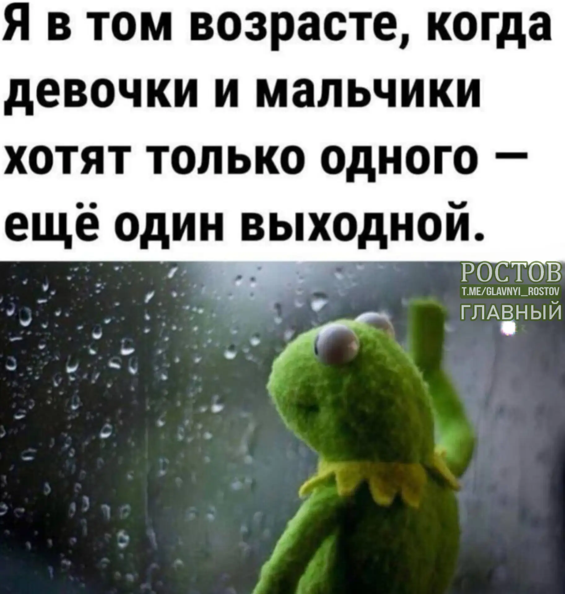 💯